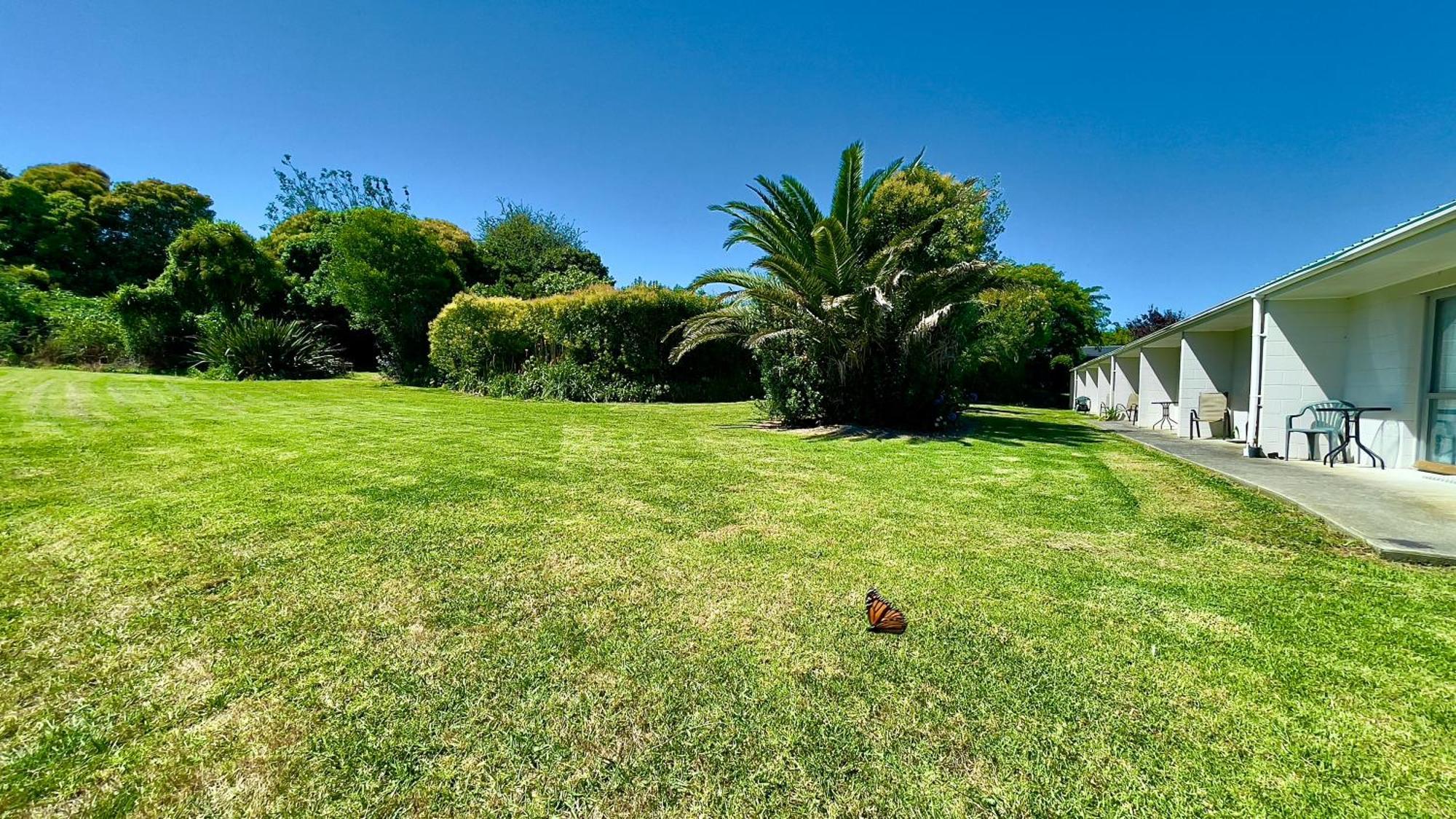 Waiuku Motel מראה חיצוני תמונה