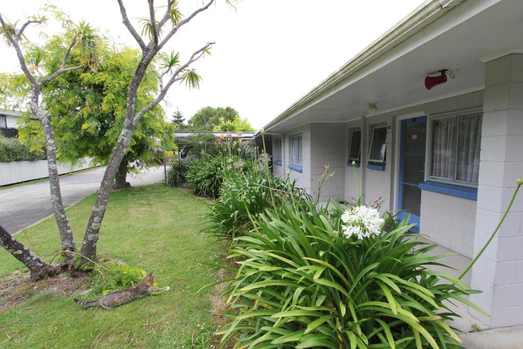 Waiuku Motel מראה חיצוני תמונה